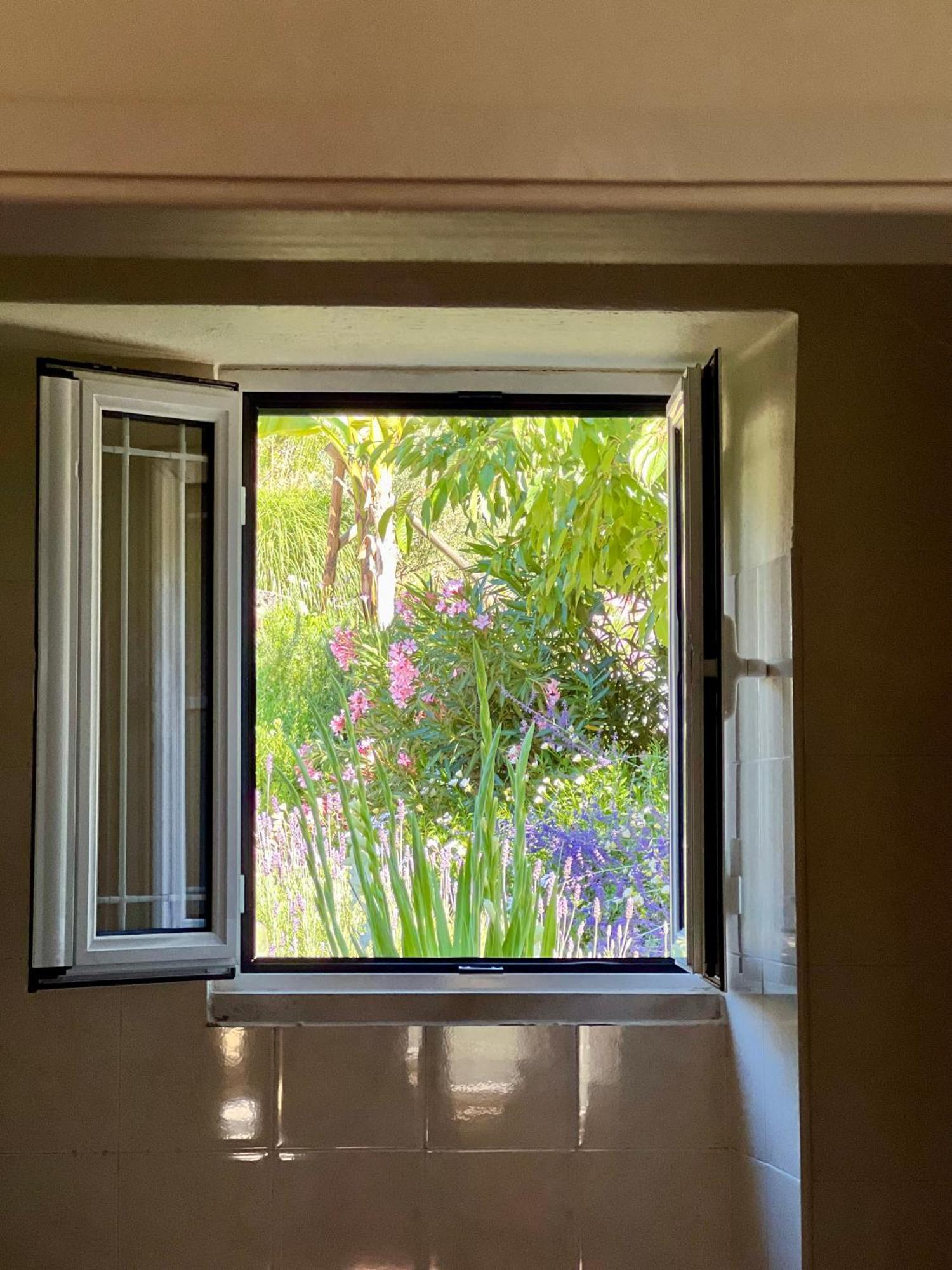 Manor Meeder Villa Castanheira de Pera Bagian luar foto